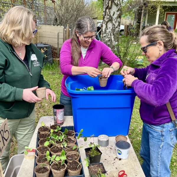 Anchor Gardens provides resources and education to residents of the Municipality of Anchorage in addition to events like seed and seedling exchanges.