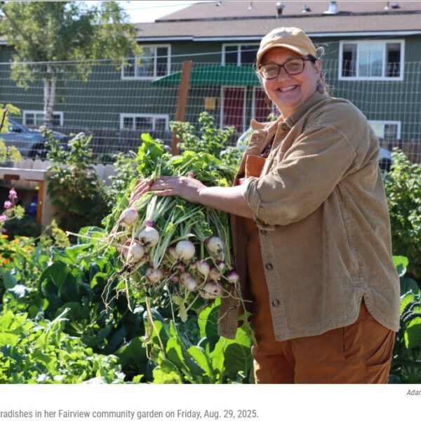 Alaska Public Media's photo of Theresa Brown holding up radishes in her Fairview community garden.
