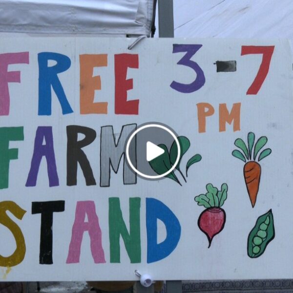 Your Alaska Link news story for the Free Farm Stand